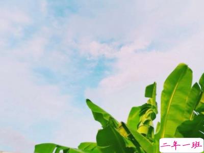 适合假期发的日常句子带图片 2019暑假放假的个性说说短语2