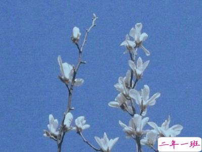 适合假期发的日常句子带图片 2019暑假放假的个性说说短语3