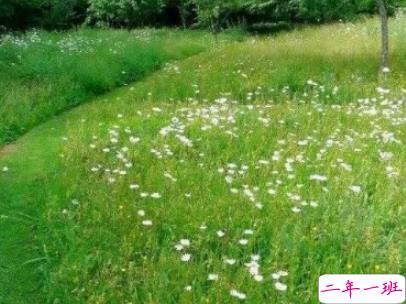 适合假期发的日常句子带图片 2019暑假放假的个性说说短语5