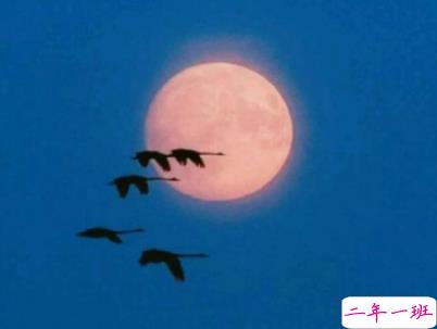 适合假期发的日常句子带图片 2019暑假放假的个性说说短语11