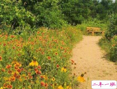 2019表达天好热的朋友圈说说配图 热得你走出半生归来全熟11