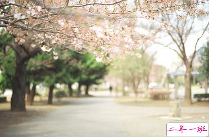 最火情侣说说秀恩爱短句带图片 超级喜欢一个人的说说3