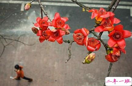 最火情侣说说秀恩爱短句带图片 超级喜欢一个人的说说6