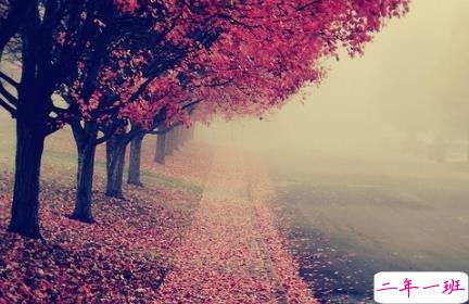 最火情侣说说秀恩爱短句带图片 超级喜欢一个人的说说9