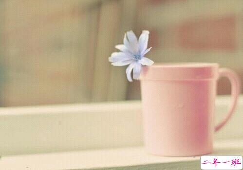 2019适合跨年夜的表白说说 一句话感动对方的完美情话2