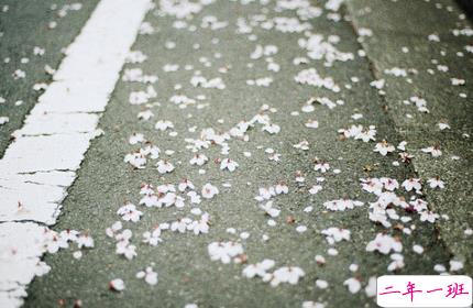 最火情侣说说秀恩爱短句带图片 超级喜欢一个人的说说13