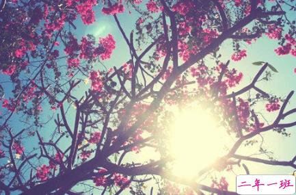 最火情侣说说秀恩爱短句带图片 超级喜欢一个人的说说15