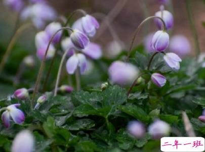 2019五一放假说说心情短语配图 五一到了假期心情说说3