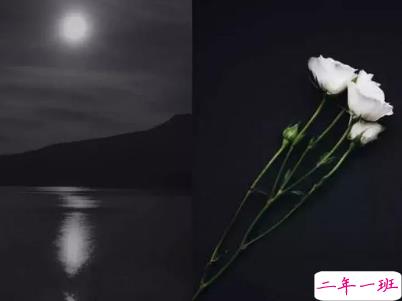 2019五一放假说说心情短语配图 五一到了假期心情说说11