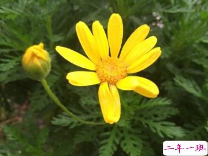 2019五一放假说说心情短语配图 五一到了假期心情说说13