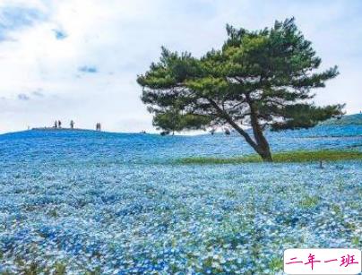 2019五一放假说说心情短语配图 五一到了假期心情说说14