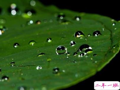 2019谷雨朋友圈说说配图 谷雨节发朋友圈的说说优美1