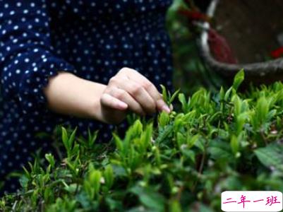 2019谷雨朋友圈说说配图 谷雨节发朋友圈的说说优美2