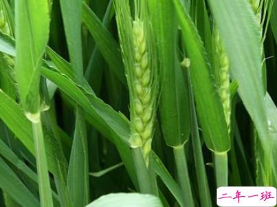 2019谷雨朋友圈说说配图 谷雨节发朋友圈的说说优美3