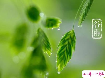 2019谷雨朋友圈说说配图 谷雨节发朋友圈的说说优美5