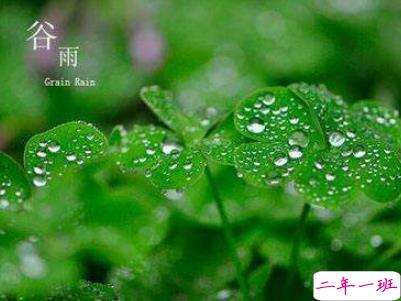 2019谷雨朋友圈说说配图 谷雨节发朋友圈的说说优美9