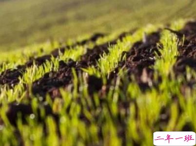 2019谷雨朋友圈说说配图 谷雨节发朋友圈的说说优美10