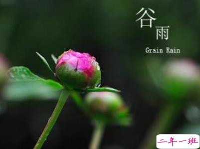 2019谷雨朋友圈说说配图 谷雨节发朋友圈的说说优美13
