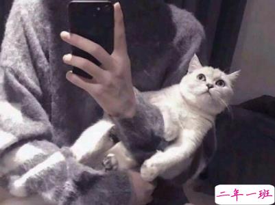 男生霸道高傲说说带图片 男生霸气社会句子11