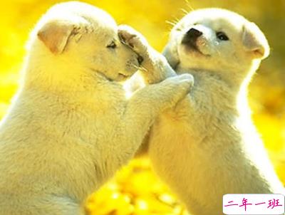 一辈子好兄弟说说带图片 兄弟说说霸气重情义的11