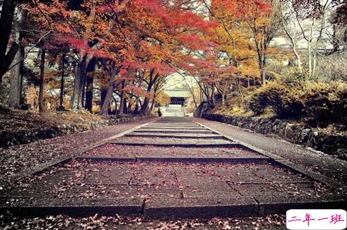 女生爱情说说幸福甜甜蜜蜜带图片 qq幸福说说一句话大全超简单5