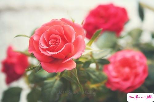 女生爱情说说幸福甜甜蜜蜜带图片 qq幸福说说一句话大全超简单11