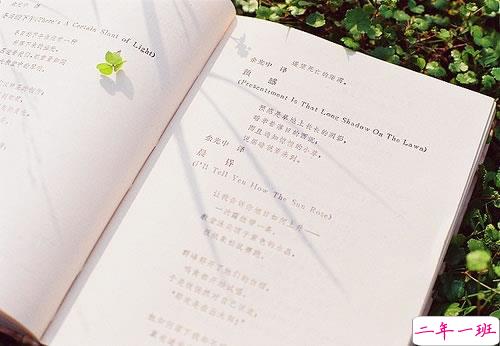 日常爱情说说经典有意义带图片 我喜欢你来自心脏不是口腔15