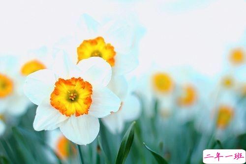 2019告别二月迎接三月励志说说配图 三月你好朋友圈早安心语2