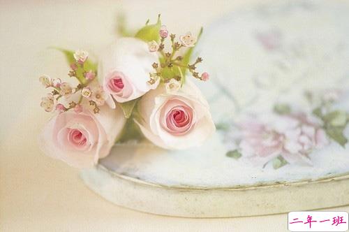 2019告别二月迎接三月励志说说配图 三月你好朋友圈早安心语6