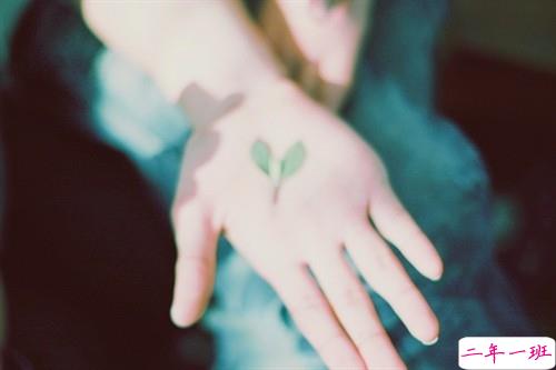 2019朋友圈个性说说必点赞的 非常吸引人的微信说说独一无二1