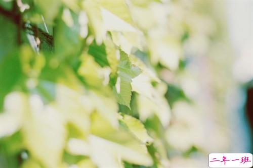 2019朋友圈个性说说必点赞的 非常吸引人的微信说说独一无二11