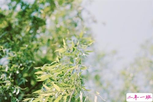 2019朋友圈个性说说必点赞的 非常吸引人的微信说说独一无二14