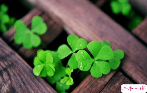 2019年二月你好早安朋友圈说说 再见一月你好二月唯美说说配图1