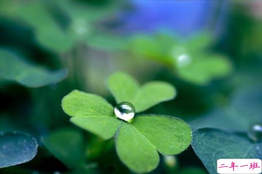 2019年二月你好早安朋友圈说说 再见一月你好二月唯美说说配图2