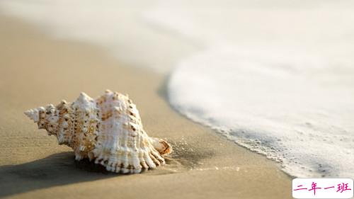 2019年二月你好早安朋友圈说说 再见一月你好二月唯美说说配图8