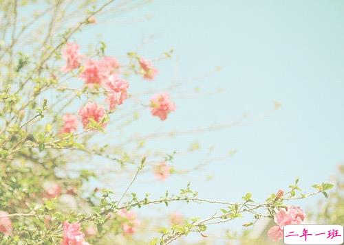 2019年抖音个性说说大全 非常有意思的个性说说带图片2