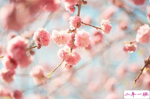 2019年抖音个性说说大全 非常有意思的个性说说带图片6