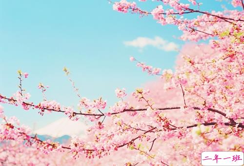 2019年抖音个性说说大全 非常有意思的个性说说带图片9