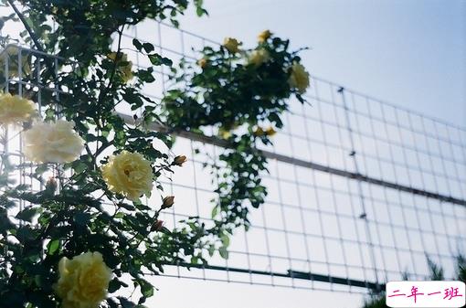 很深情很撩人的情话带图片 融化人心的小可爱女生说说8