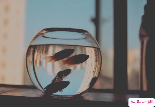 很深情很撩人的情话带图片 融化人心的小可爱女生说说11