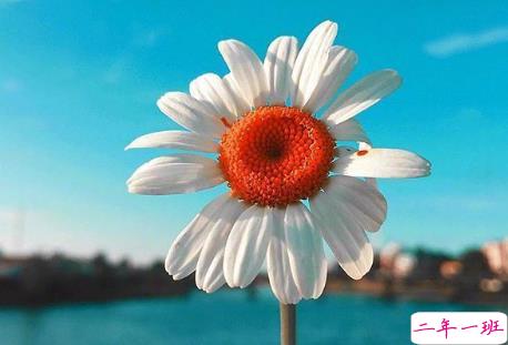 听着很有道理的爱情说说带图片 关于爱情很有哲理的一句话说说16