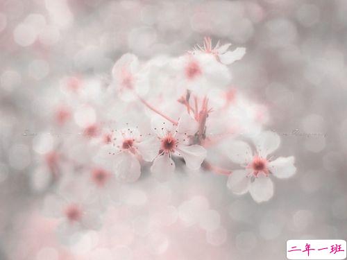 形容天气很冷的微信说说带图片 冬天冻死人的说说精辟一句话7