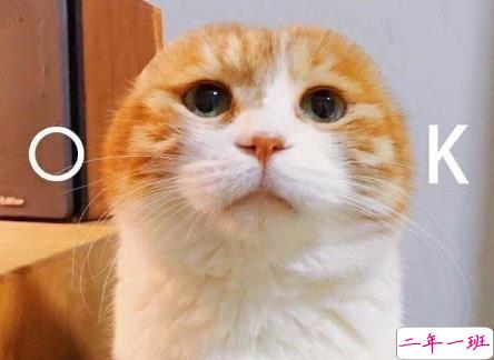 女生超甜的心情说说关于爱情带图片 很甜很撩的话适合发朋友圈配图4