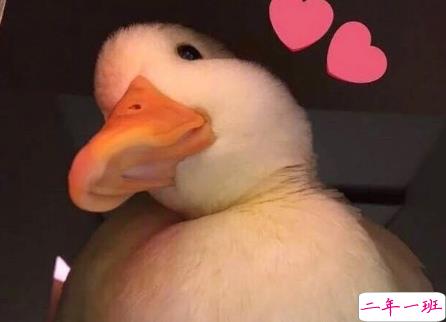 女生超甜的心情说说关于爱情带图片 很甜很撩的话适合发朋友圈配图6