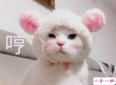 女生超甜的心情说说关于爱情带图片 很甜很撩的话适合发朋友圈配图13