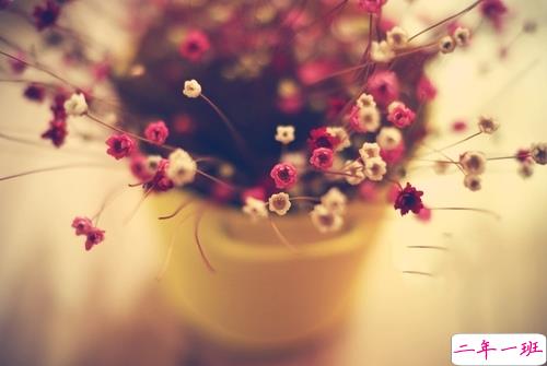 为明天而努力的励志说说致自己 有关于积极奋斗的励志说说共勉3