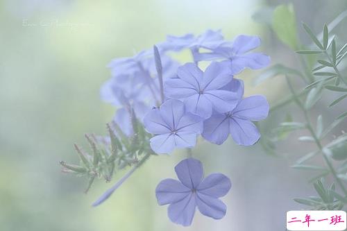 为明天而努力的励志说说致自己 有关于积极奋斗的励志说说共勉10