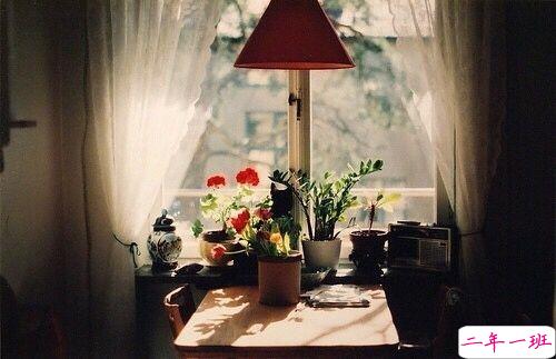 喜欢一个人的甜蜜小情话说说带图片 不愿再研墨执笔因为字里行间全是你7