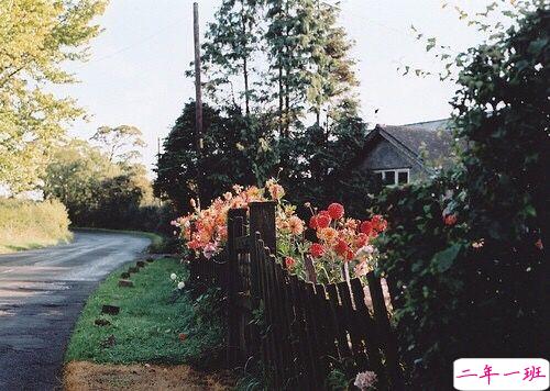 喜欢一个人的甜蜜小情话说说带图片 不愿再研墨执笔因为字里行间全是你8