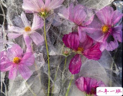 睡觉前的朋友圈晚安说说带图片 晚安心语说说心灵鸡汤配图3